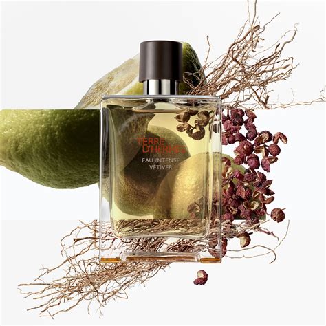 terre hermes perfume precio